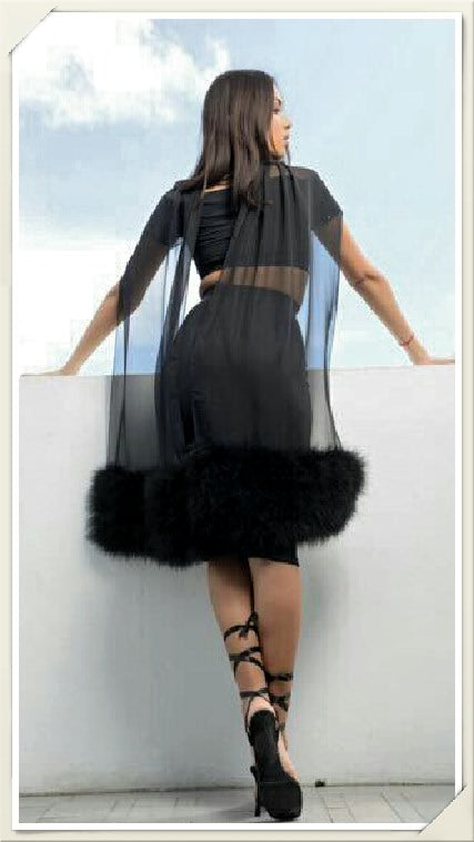 Faux Fur Feather Chiffon Shawl