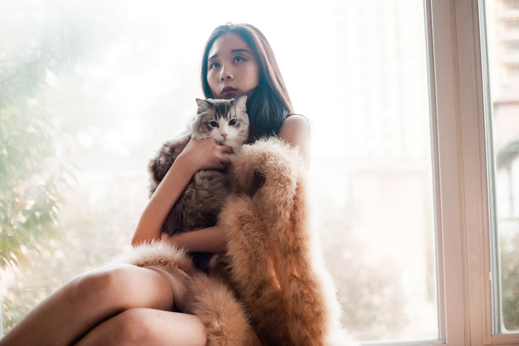 Feather Trimmed Chiffon Evening Shawl