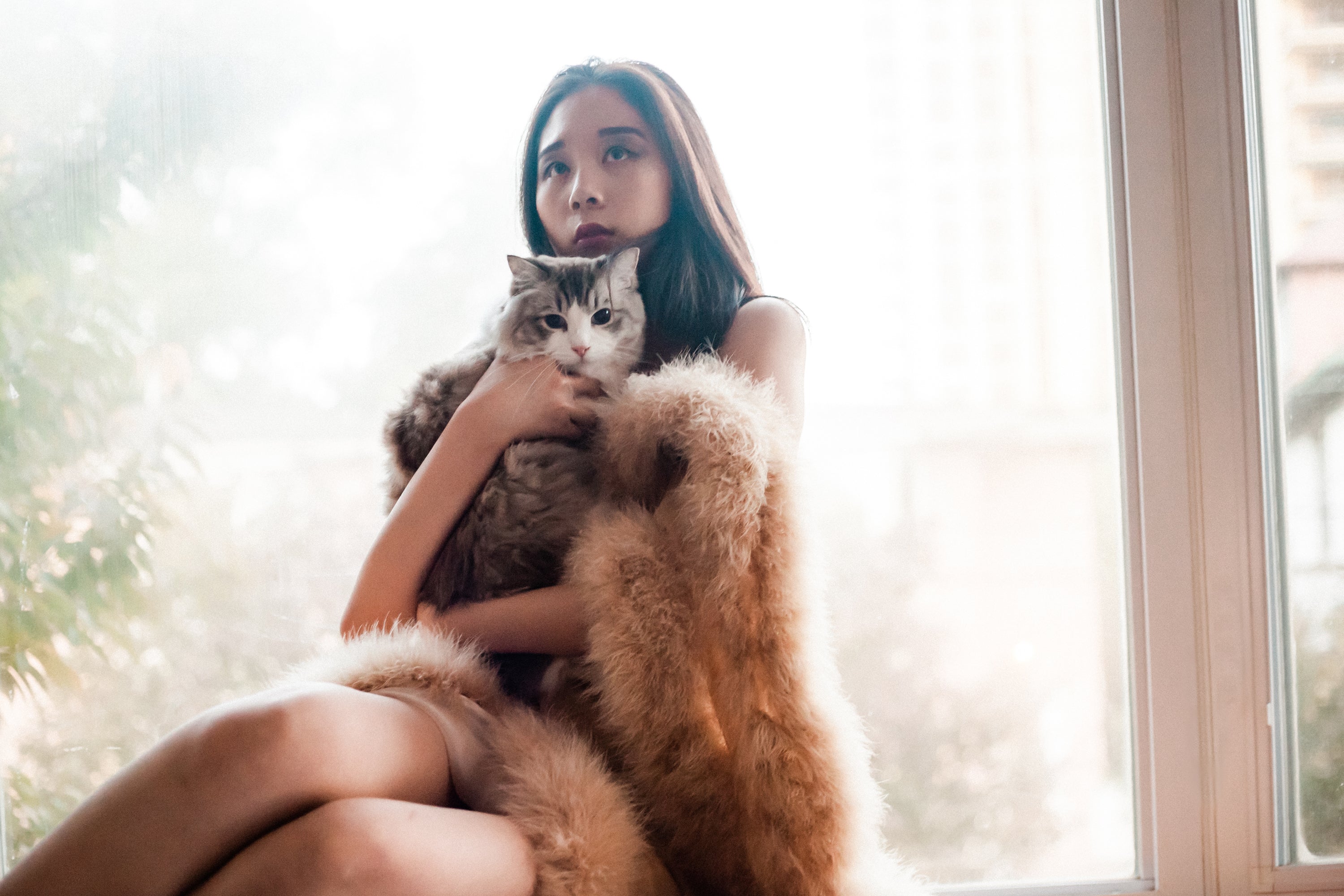 Feather Trimmed Chiffon Evening Shawl